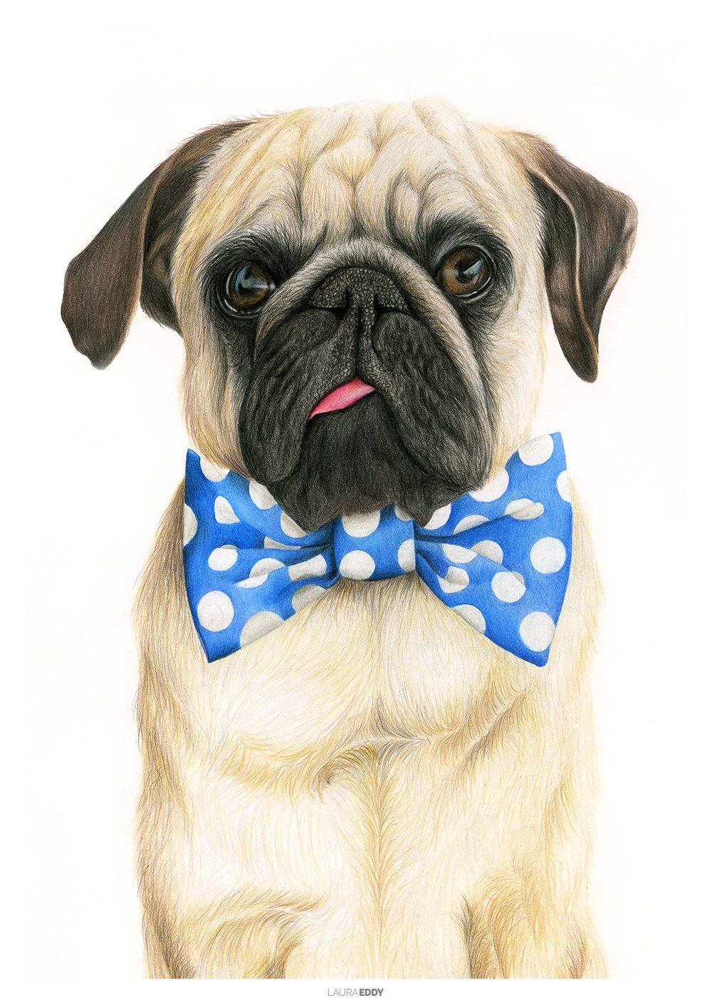Pug in a Bowtie Pencil Drawing